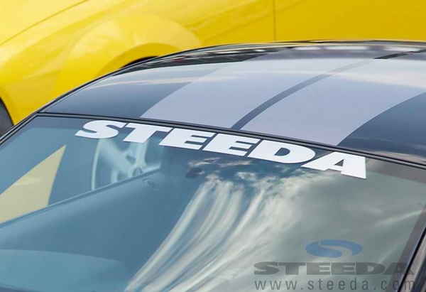 Steeda Windshield Decal - Silver